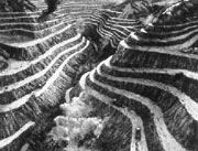 Chester Arnold's Tailings at Tacoma Art Museum Dec. 11.