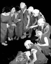 The ensemble: one giant organism.