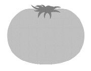 All Politics Is Local