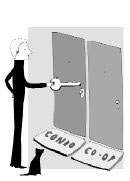 THE LOW-COST ALTERNATIVE