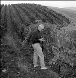 Woodward Canyon's Rick Small counts his blessings.