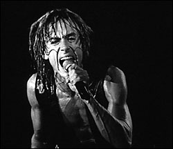 Iggy + Johnny = Joaquin.