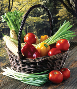 Think Global, Eat Local