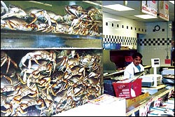 The fighting crabs of 99 Ranch