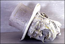 Sense of Place, Scott Fife