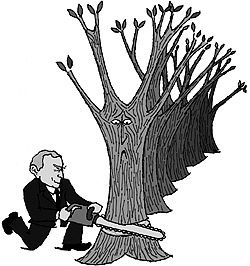 Take a Stand for Trees