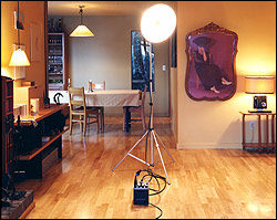 Look closer: Morisot, from Hadley & Maxwell's "D&eacute;cor Project."