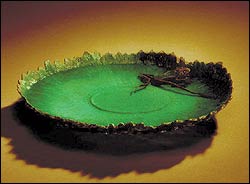 Northwest Coast Women's Art