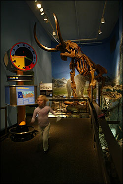 The Burke Museum at UW: A review by three scientists is under way.