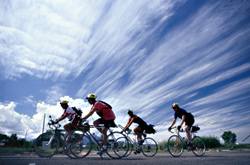 Bikers of Seattle, unite!