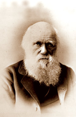 Intelligent-design proponents argue that pointing out Darwin's ideological and evidential feet of clay is only part of the larger mission to open the scientific discourse to evidence and viewpoints supressed by the establishment.