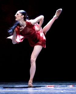 Ariana Lallone: a woman apart.