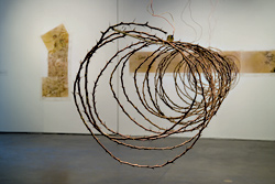 Richard Lerman "Fences-Borders"