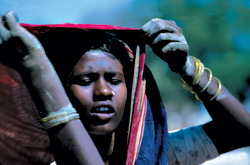 This Week's Critics' Picks