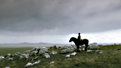 Typical Mongolian scenery.