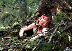 Macdonald crawls to freedom?