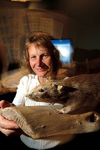 Teri Barclay with Public Health mascot Bentley: "We bring him to meetings."
