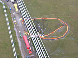 In the summer, caribou often saunter amidst Prudhoe Bays maze of pipes