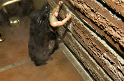 Guth would often shower his young object of desire with gifts before sex.