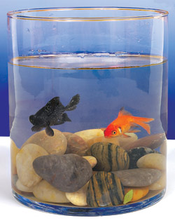 Hurtin' for  a Squirtin'