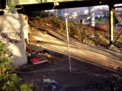 The spot under the 12th Avenue South Bridge, where Sam Brown was killed.