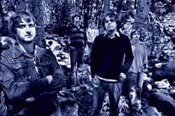 The Broken West: among the wildflowers.