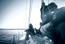 The Knights stay fly.