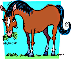 No, he won’t ask you to cuddle afterward.