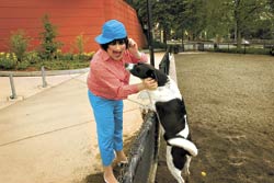 Seattle Dog Parks: a Critical Guide