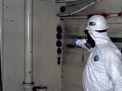 Artists are hoping not to have to don similar attire as this person if and when they move into the ArtsBrewery complex.