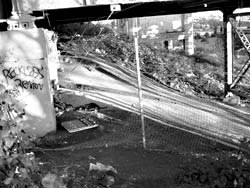 The hobo jungle pathway where Sam Brown drew his last breath.