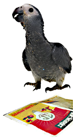 Alex wanted his liner changed before he died.