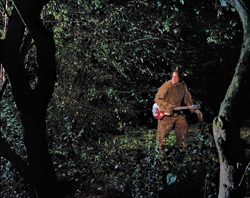 Fear of Seagulls: Zacks in a Harry and the Hendersons moment.