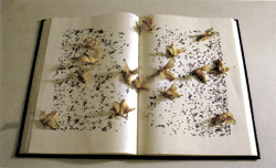 "Shu: Reinventing Books in Contemporary Chinese Art"