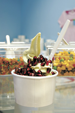 Seattle's Best Frozen Yogurt