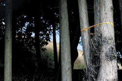 Under threat at the Camp Fire headquarters.