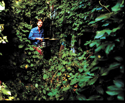 Beach House, Papercuts, Throw Me the Statue