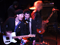 Jett set: Cute Lepersat King Cobra.