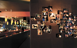 Get Lost in Translation