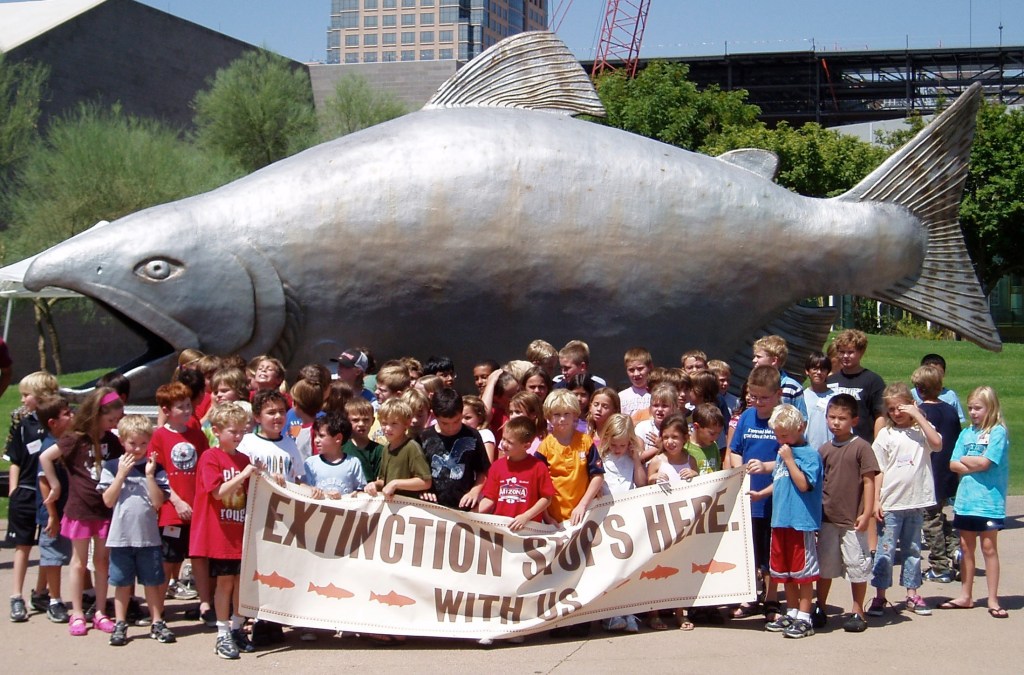 Save Our Wild Salmon