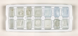 Isaac Layman: Photographs From Inside A Whale