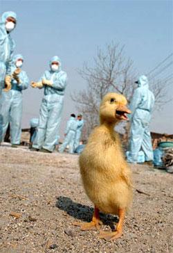 Ball of Wax 14 (CD release)