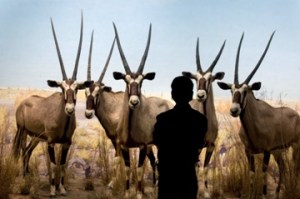 Joseph Holmes: Underexposed