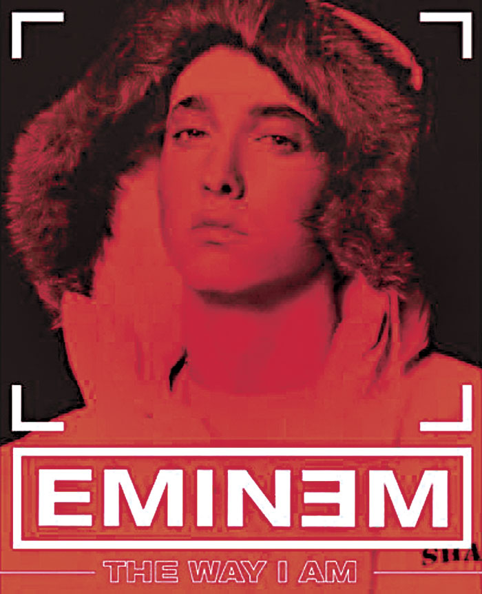 You Already Know Slim Shady