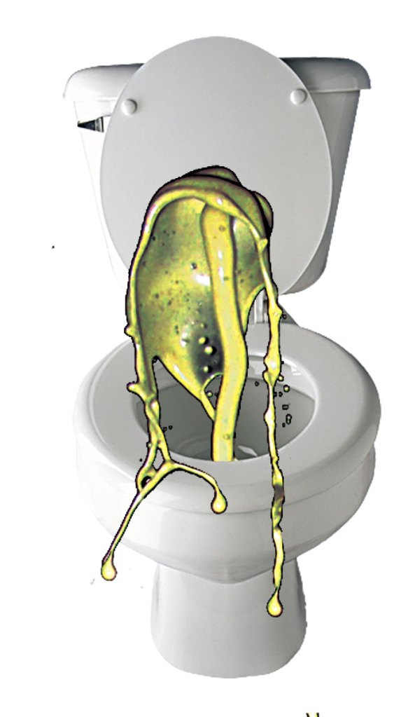 Hey, who took the massive storm that clogged the toilet?