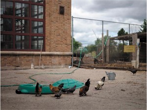 Arthur S. Aubry and David Hartt