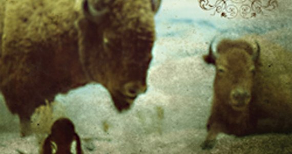 Weinland, Breaks in the Sun