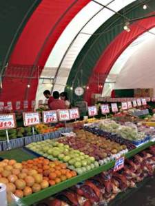 Ol Blue Eyes on the stereo, oranges on sale.