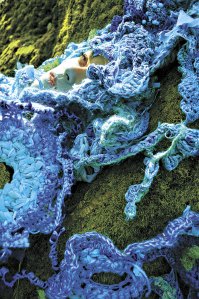 Greer floats in her West Seattle river of yarn.