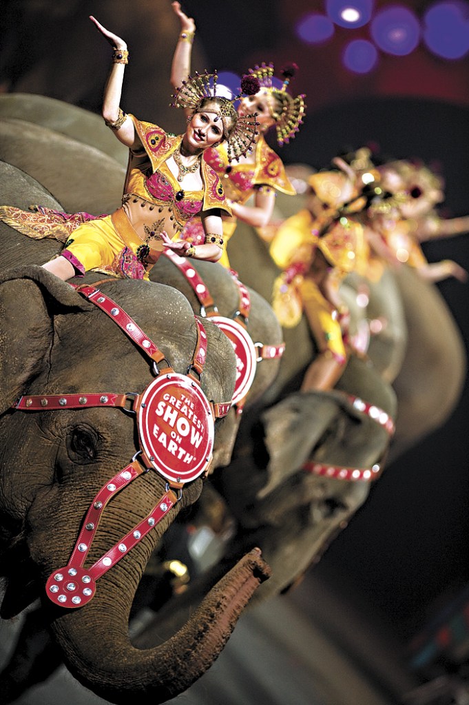 Elephants fight Mr. Gravity in Kent and Everett.